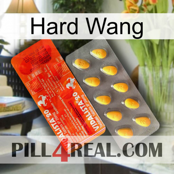 Hard Wang new01.jpg